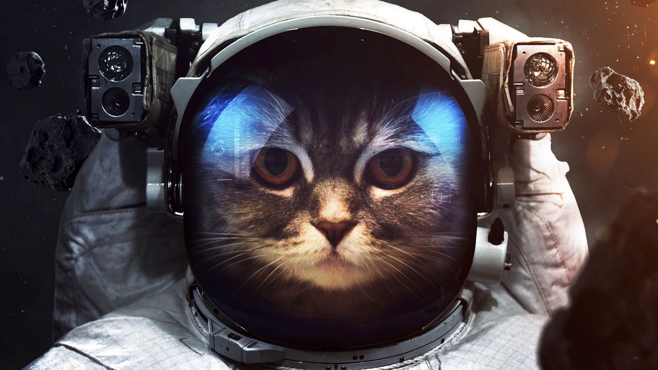 Wallpaper cat, cosmonaut, space suit, space