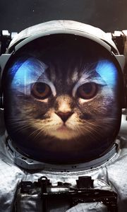 Preview wallpaper cat, cosmonaut, space suit, space