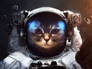 Preview wallpaper cat, cosmonaut, space suit, space