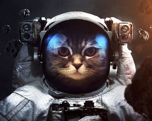 Preview wallpaper cat, cosmonaut, space suit, space