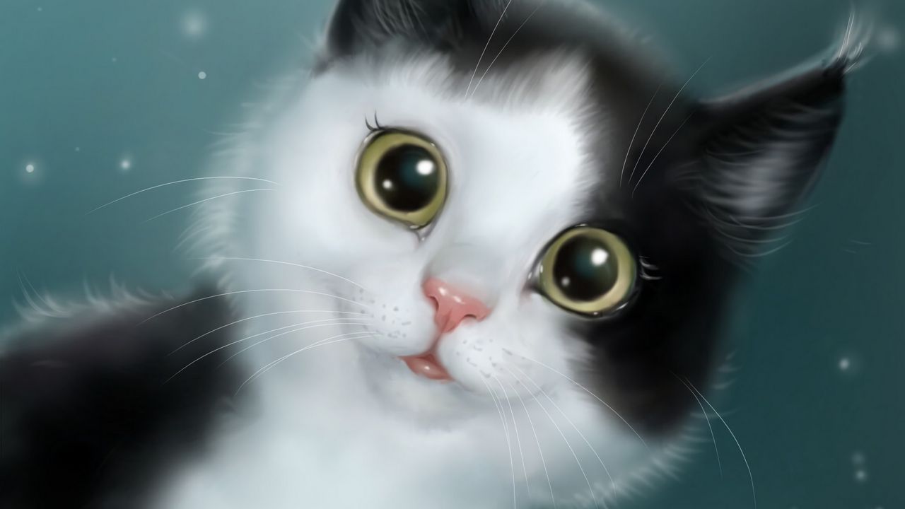 Wallpaper cat, cute, pet, art
