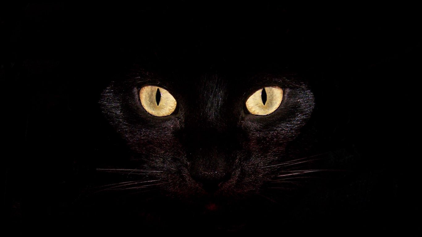 Download wallpaper 1366x768 cat, dark, eyes, bright, surprisingly ...