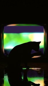 Preview wallpaper cat, dark, silhouette, darkness, art