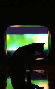 Preview wallpaper cat, dark, silhouette, darkness, art