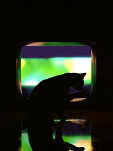 Preview wallpaper cat, dark, silhouette, darkness, art