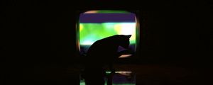 Preview wallpaper cat, dark, silhouette, darkness, art