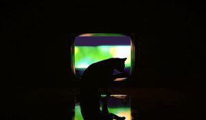 Preview wallpaper cat, dark, silhouette, darkness, art