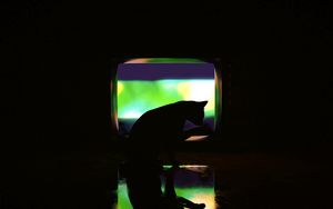 Preview wallpaper cat, dark, silhouette, darkness, art