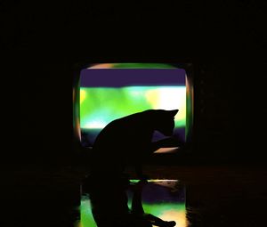 Preview wallpaper cat, dark, silhouette, darkness, art