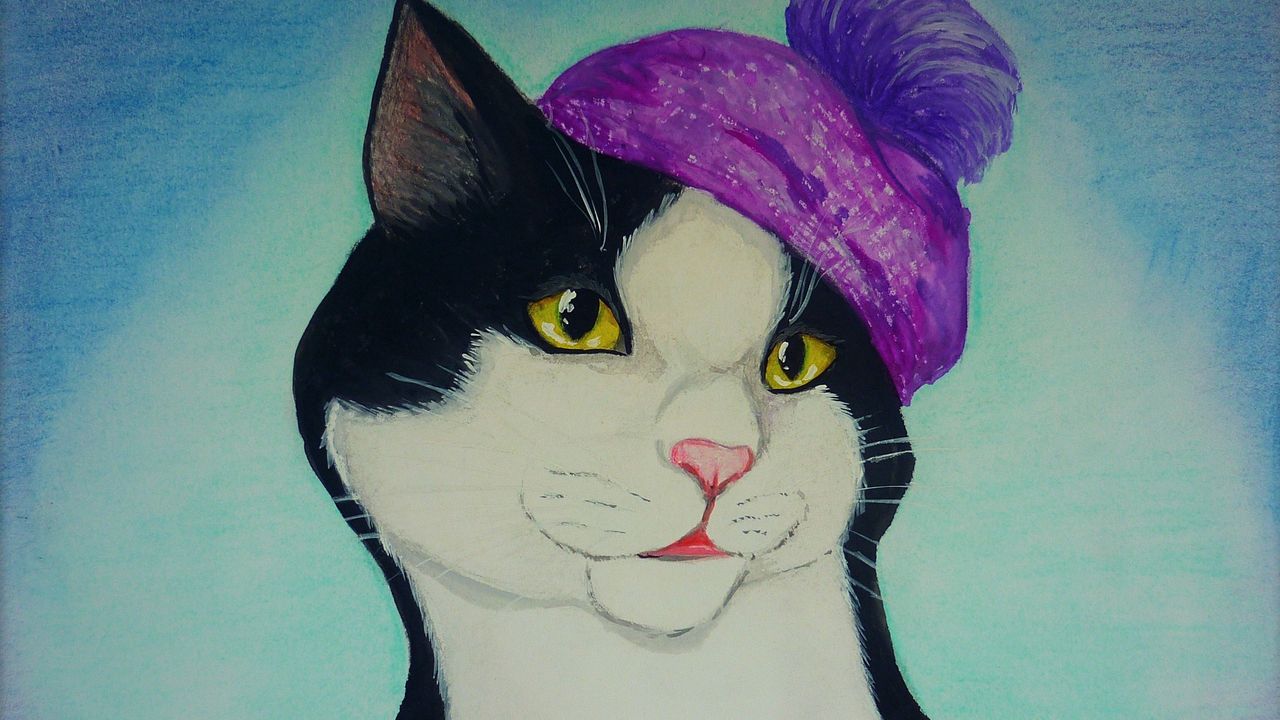 Wallpaper cat, drawing, hat, picture