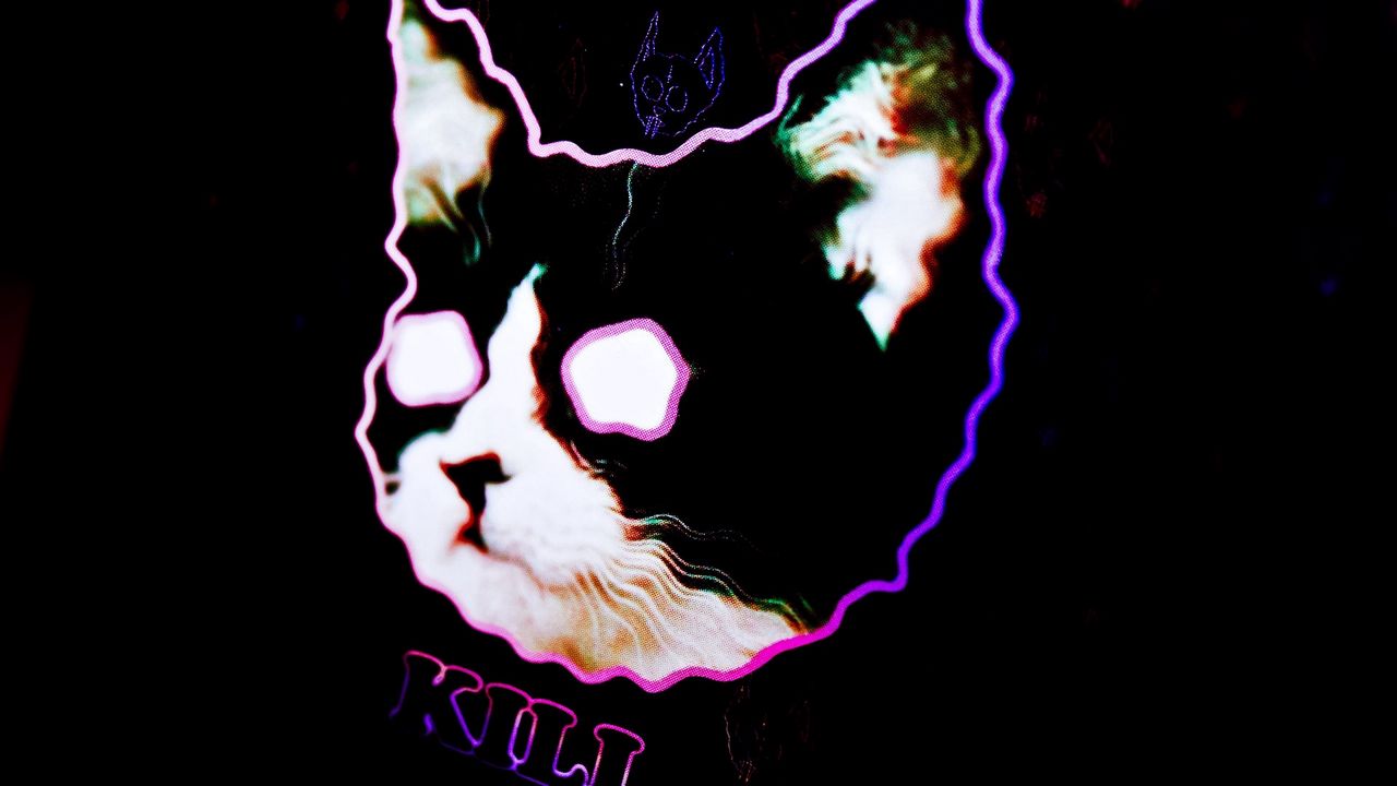 Wallpaper cat, drawing, neon, face, light