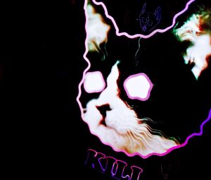 Preview wallpaper cat, drawing, neon, face, light
