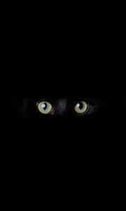 Preview wallpaper cat, eyes, glance, black, darkness