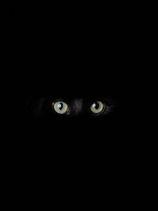 Preview wallpaper cat, eyes, glance, black, darkness