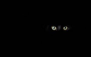 Preview wallpaper cat, eyes, glance, black, darkness