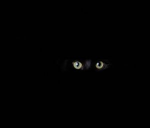 Preview wallpaper cat, eyes, glance, black, darkness