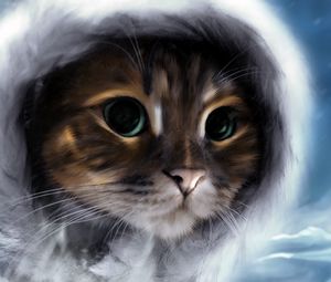 Preview wallpaper cat, face, color, fur pattern
