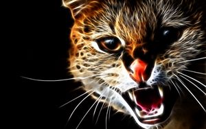 Preview wallpaper cat, face, teeth, aggression, abstraction