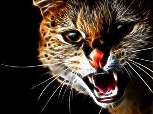 Preview wallpaper cat, face, teeth, aggression, abstraction