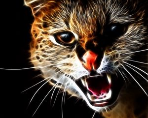 Preview wallpaper cat, face, teeth, aggression, abstraction