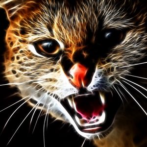 Preview wallpaper cat, face, teeth, aggression, abstraction