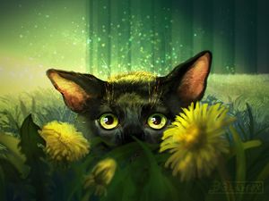 Preview wallpaper cat, flowers, art, eyes, glance