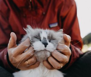 Preview wallpaper cat, fluffy, hands, tenderness