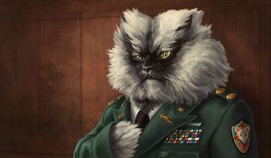 Preview wallpaper cat, fluffy, jacket, military