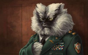 Preview wallpaper cat, fluffy, jacket, military