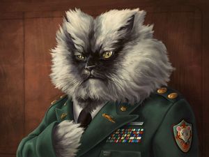 Preview wallpaper cat, fluffy, jacket, military