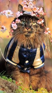 Preview wallpaper cat, furry, costume, branches, trees, flowers