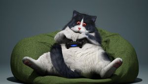 Preview wallpaper cat, gamepad, funny, cool, gamer