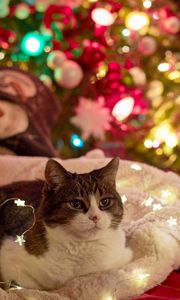 Preview wallpaper cat, garland, christmas tree, new year, christmas