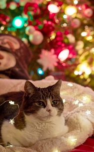 Preview wallpaper cat, garland, christmas tree, new year, christmas