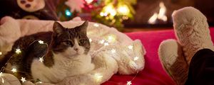 Preview wallpaper cat, garland, christmas tree, new year, christmas