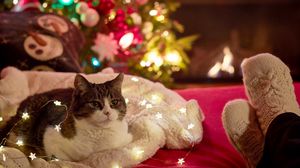 Preview wallpaper cat, garland, christmas tree, new year, christmas