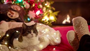 Preview wallpaper cat, garland, christmas tree, new year, christmas