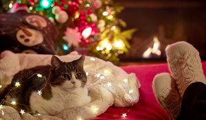 Preview wallpaper cat, garland, christmas tree, new year, christmas