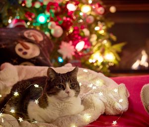 Preview wallpaper cat, garland, christmas tree, new year, christmas