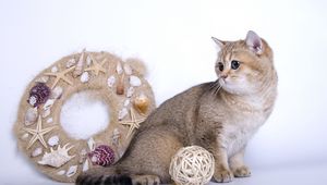 Preview wallpaper cat, garland, toys, wool