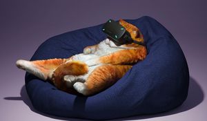 Preview wallpaper cat, glasses, virtual reality, funny, cool