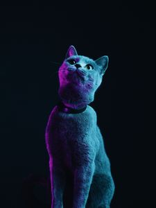 Preview wallpaper cat, gray, pet, neon