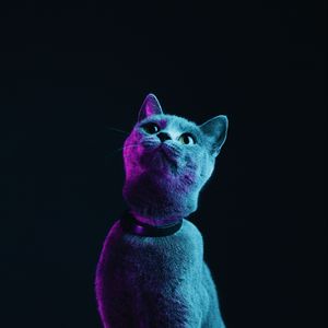 Preview wallpaper cat, gray, pet, neon