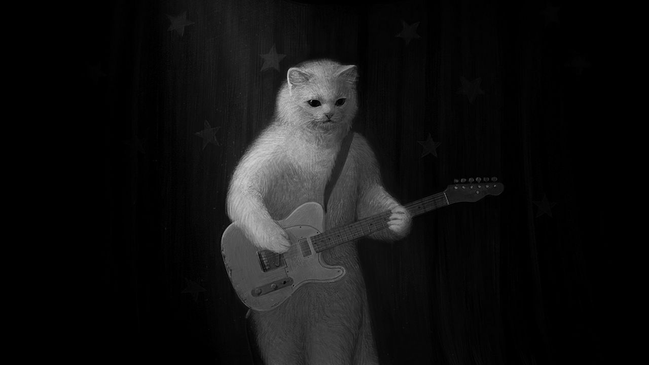 Wallpaper cat, guitar, bw, musician