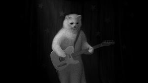 Preview wallpaper cat, guitar, bw, musician