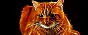 Preview wallpaper cat, hair, face, thick, abstraction