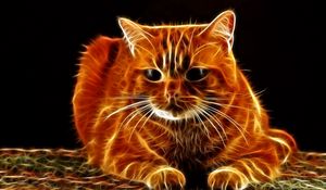 Preview wallpaper cat, hair, face, thick, abstraction