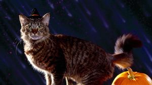 Preview wallpaper cat, halloween, fluffy, pumpkin