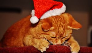 Preview wallpaper cat, hat, santa claus, new year