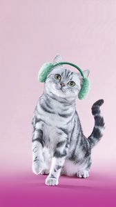 Preview wallpaper cat, headphones, lilac, funny